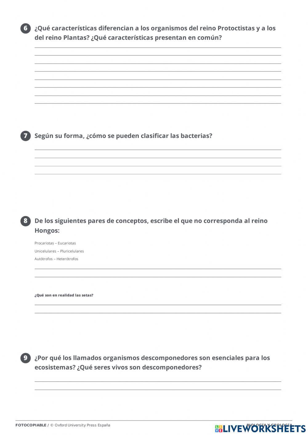 Moneras, Protoc… | Free Interactive Worksheets | 2525953