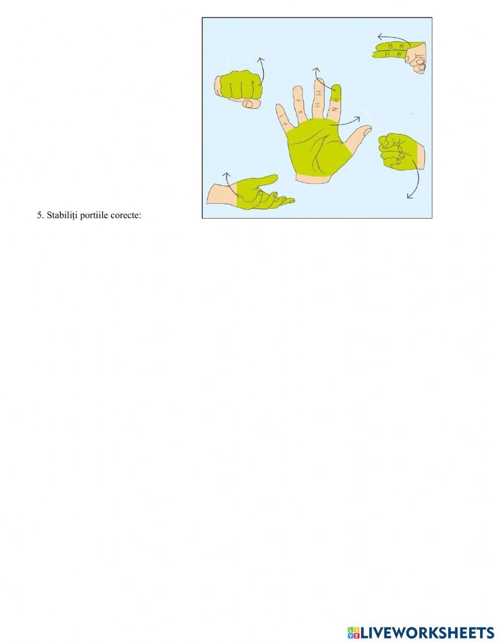 Test de evaluare-Alimentatia