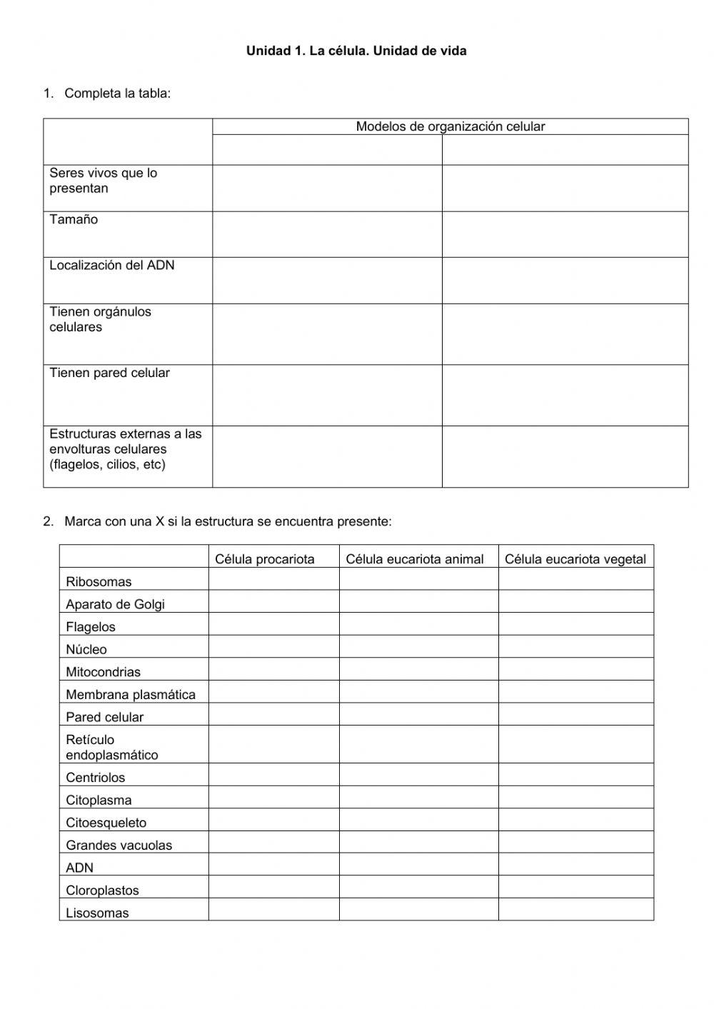 Modelos de organización celular III