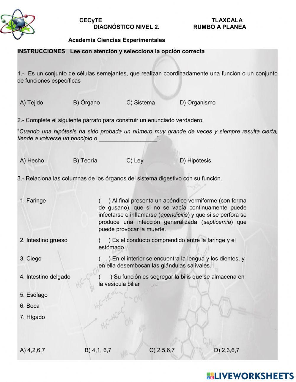 Diagnóstico nivel 2 de Experimentales