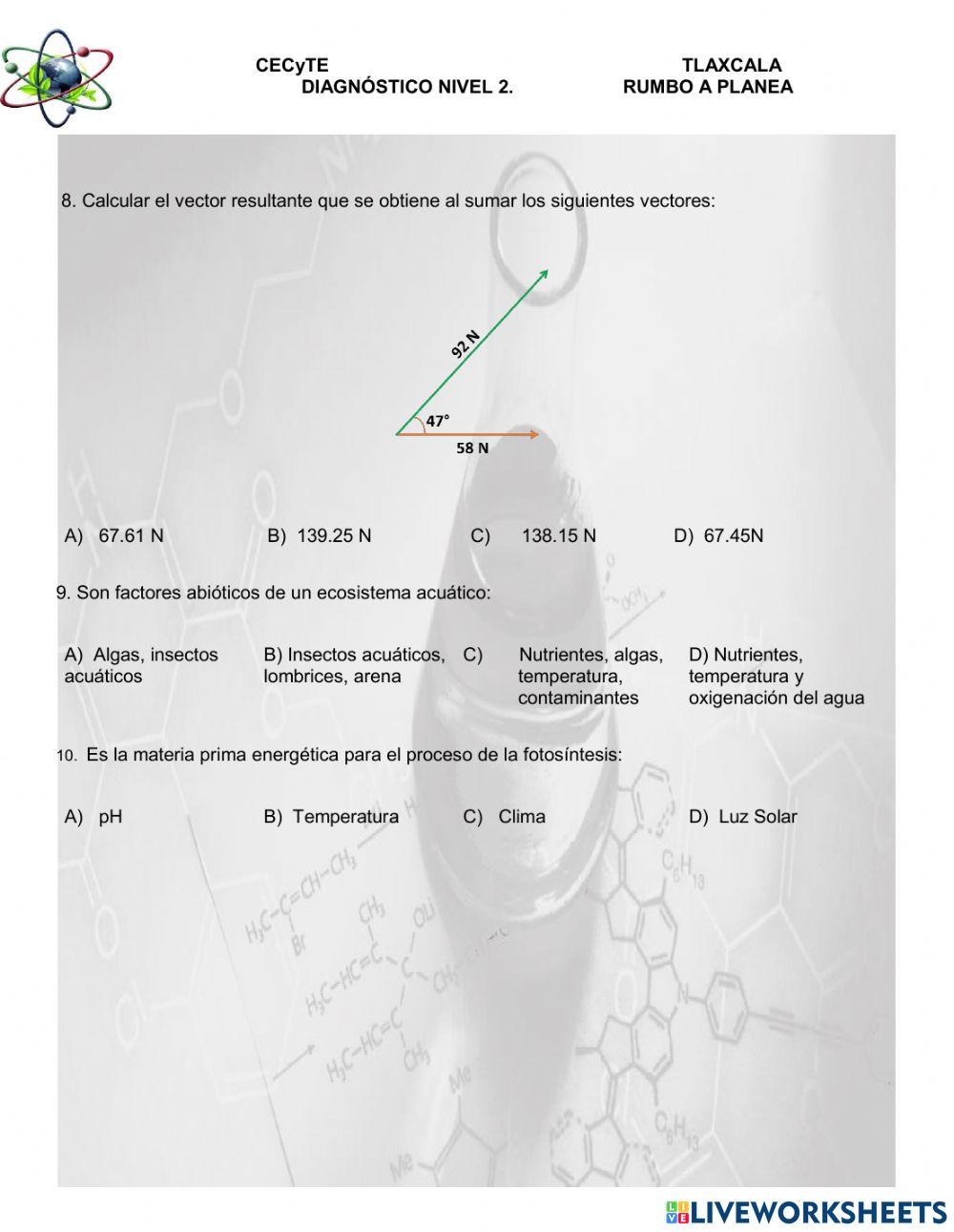 Diagnóstico nivel 2 de Experimentales