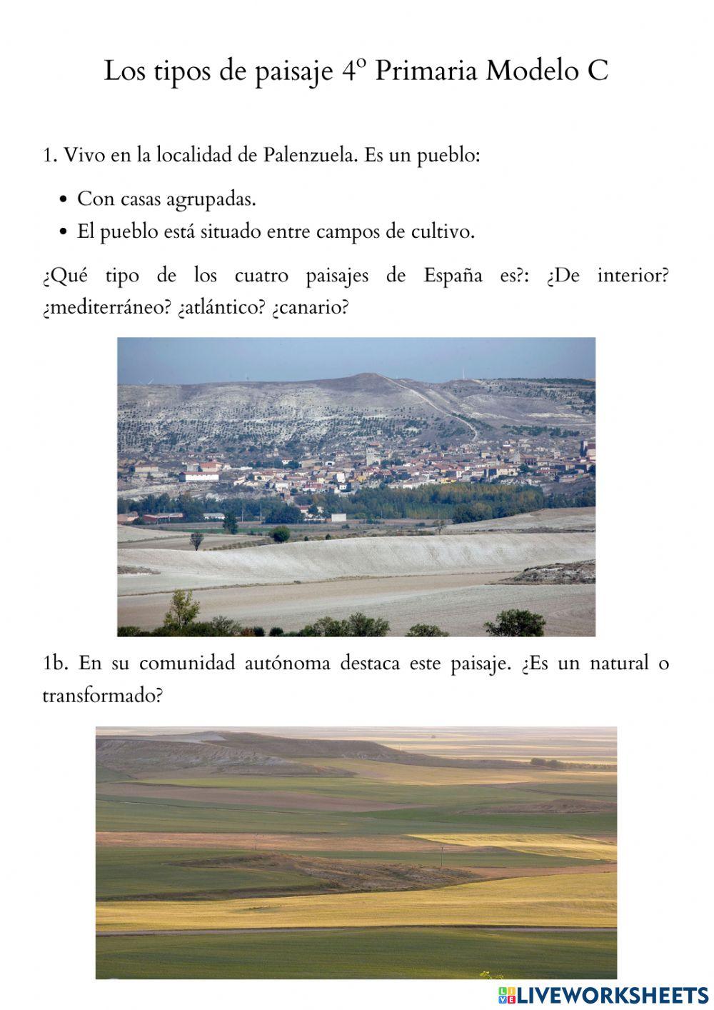 Los tipos de paisaje