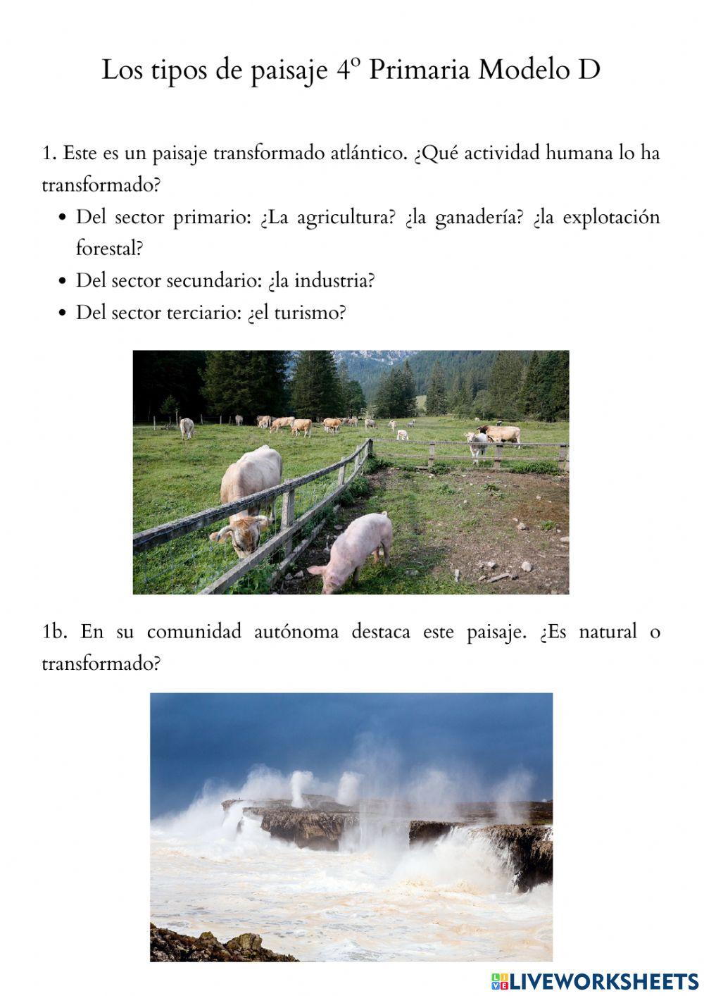 Los tipos de paisaje