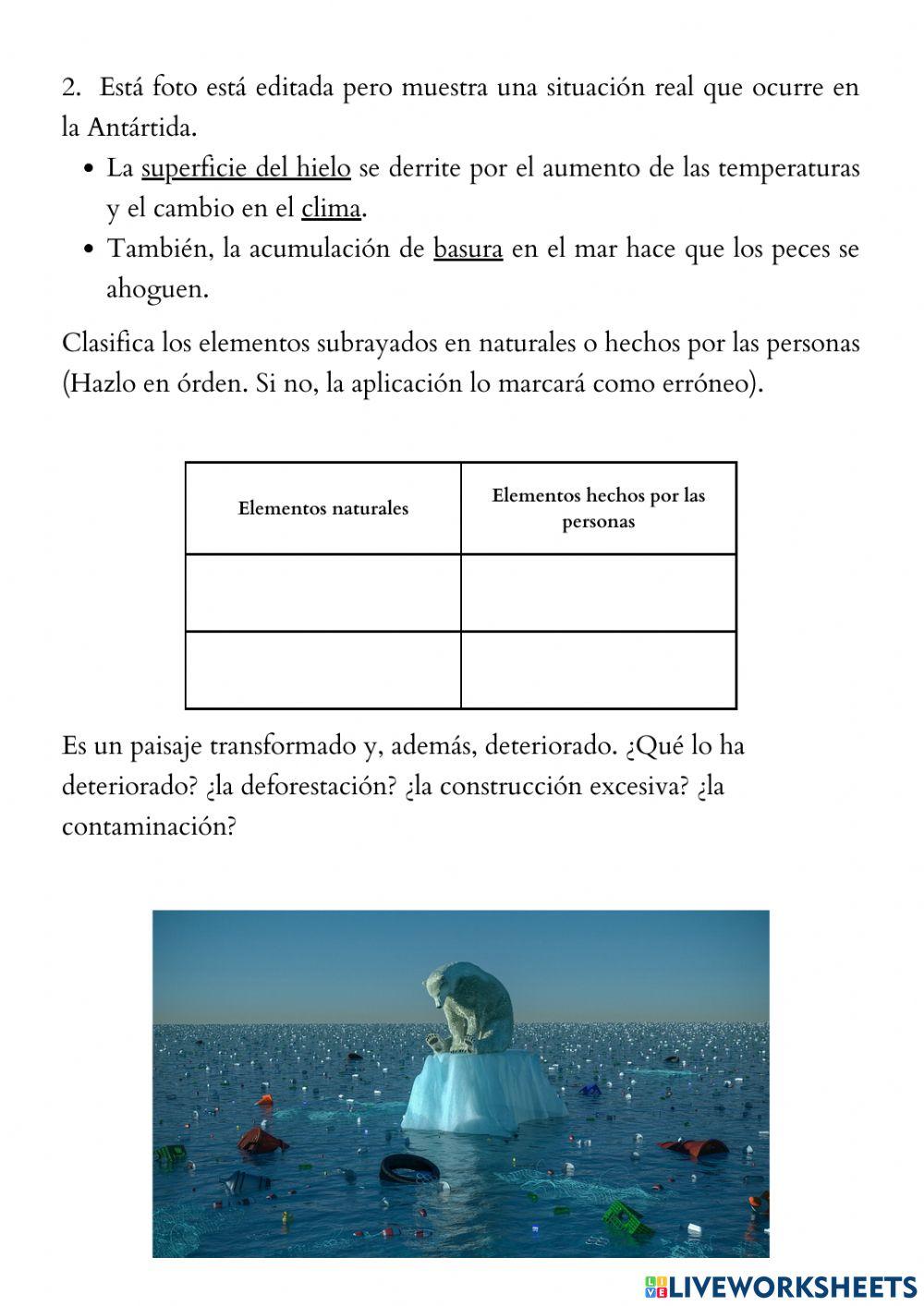 Los tipos de paisaje