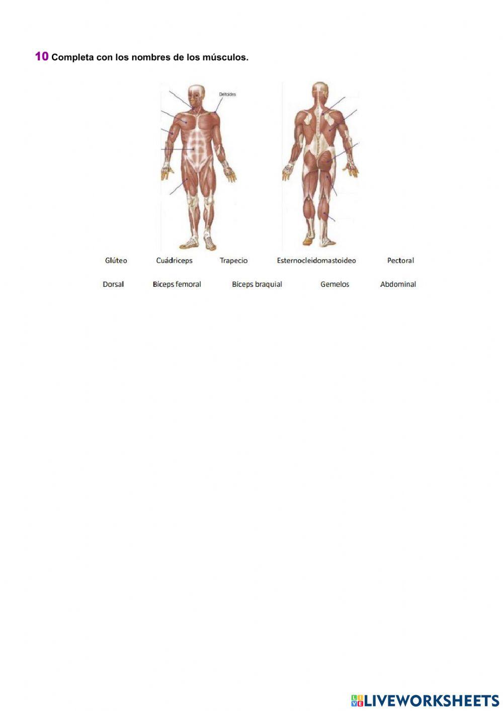 Función de relación