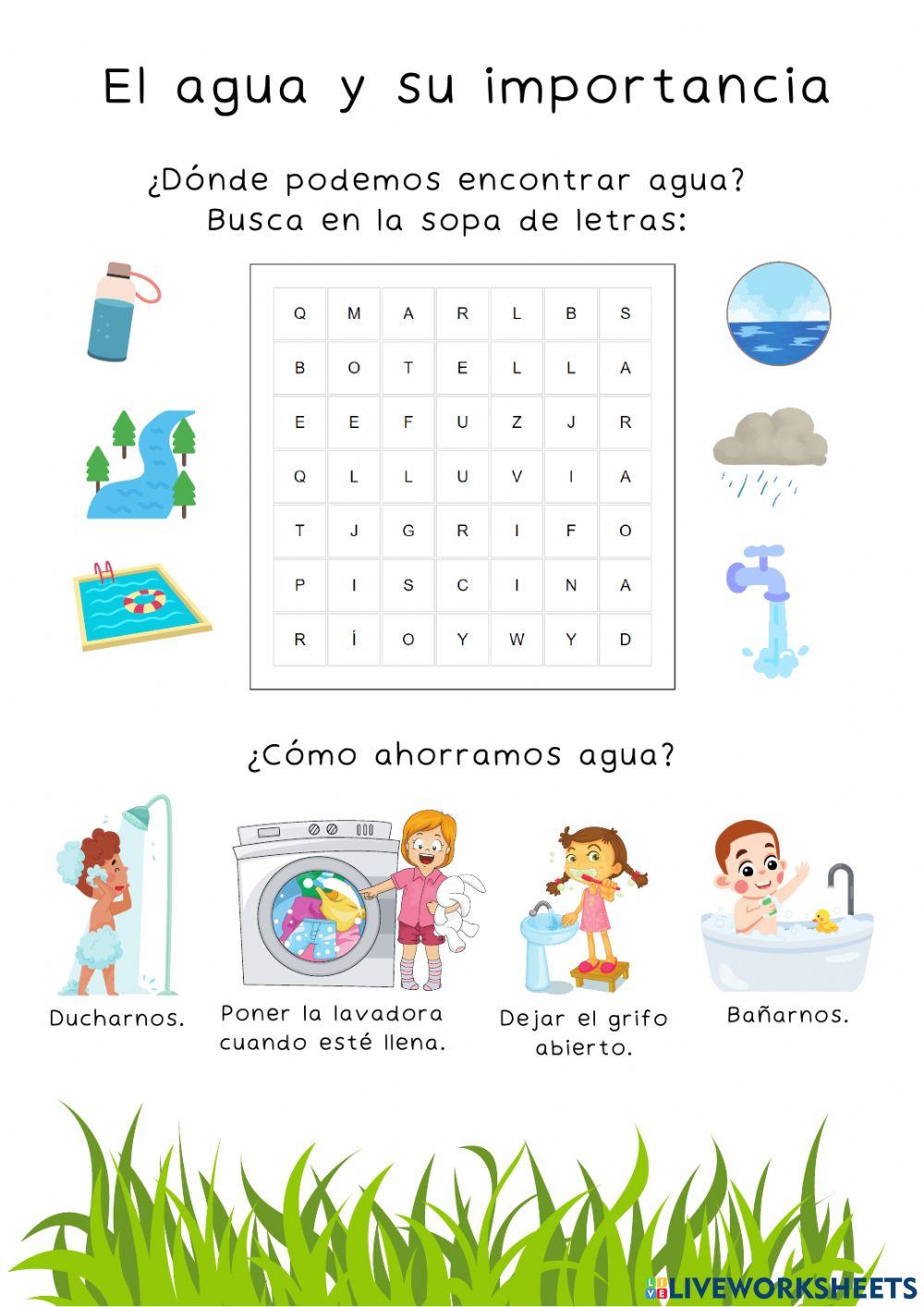 El agua y su importancia