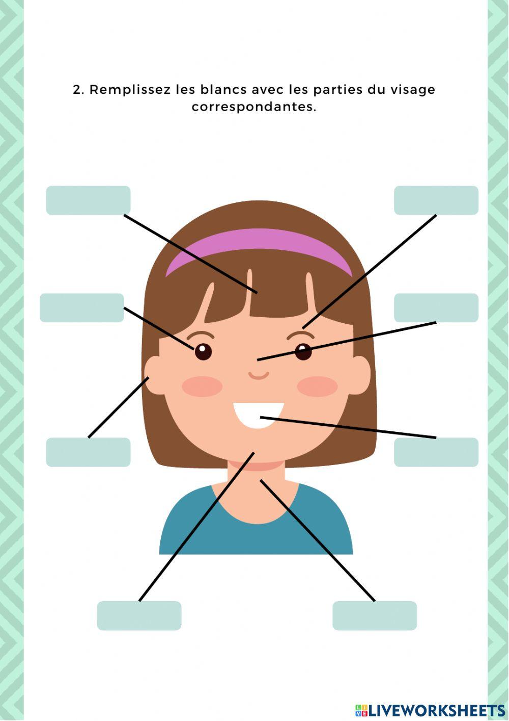 Partes del cuerpo y rostro. FRANCÉS.