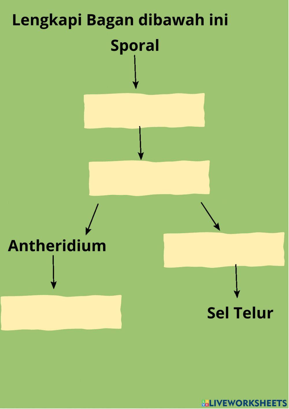 Briopyta dan pteridopita