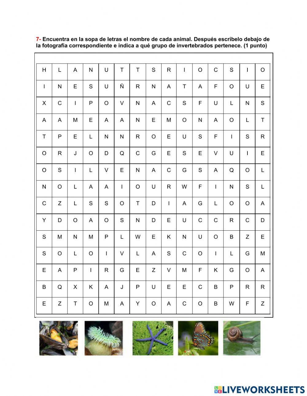 El reino de los animales