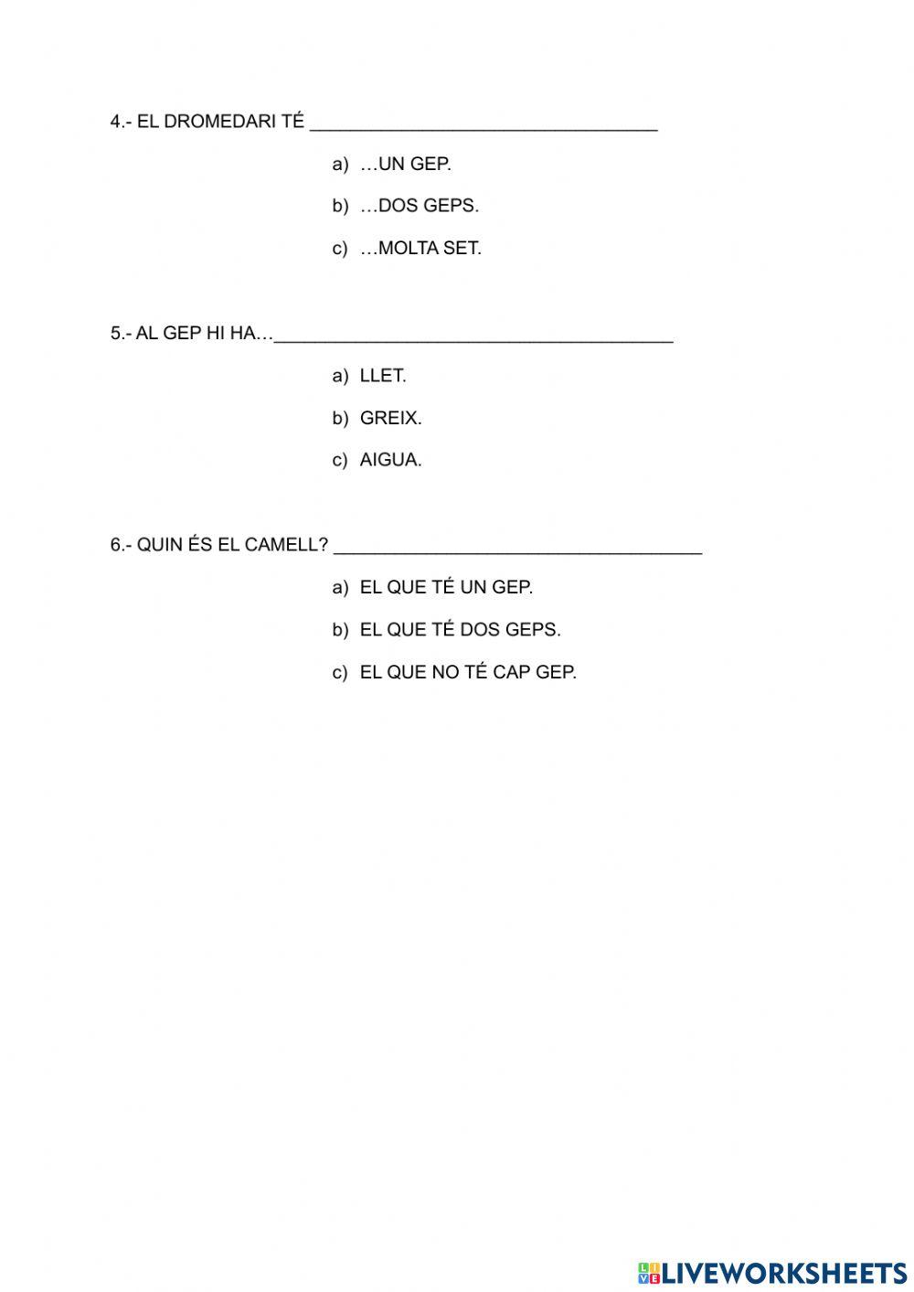 Ci comprensió lectora