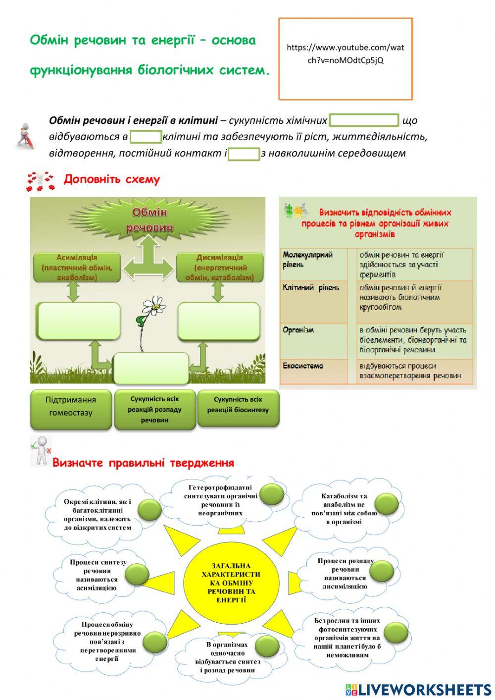 Обмін речовин та енергії – основа  функціонування біологічних систем