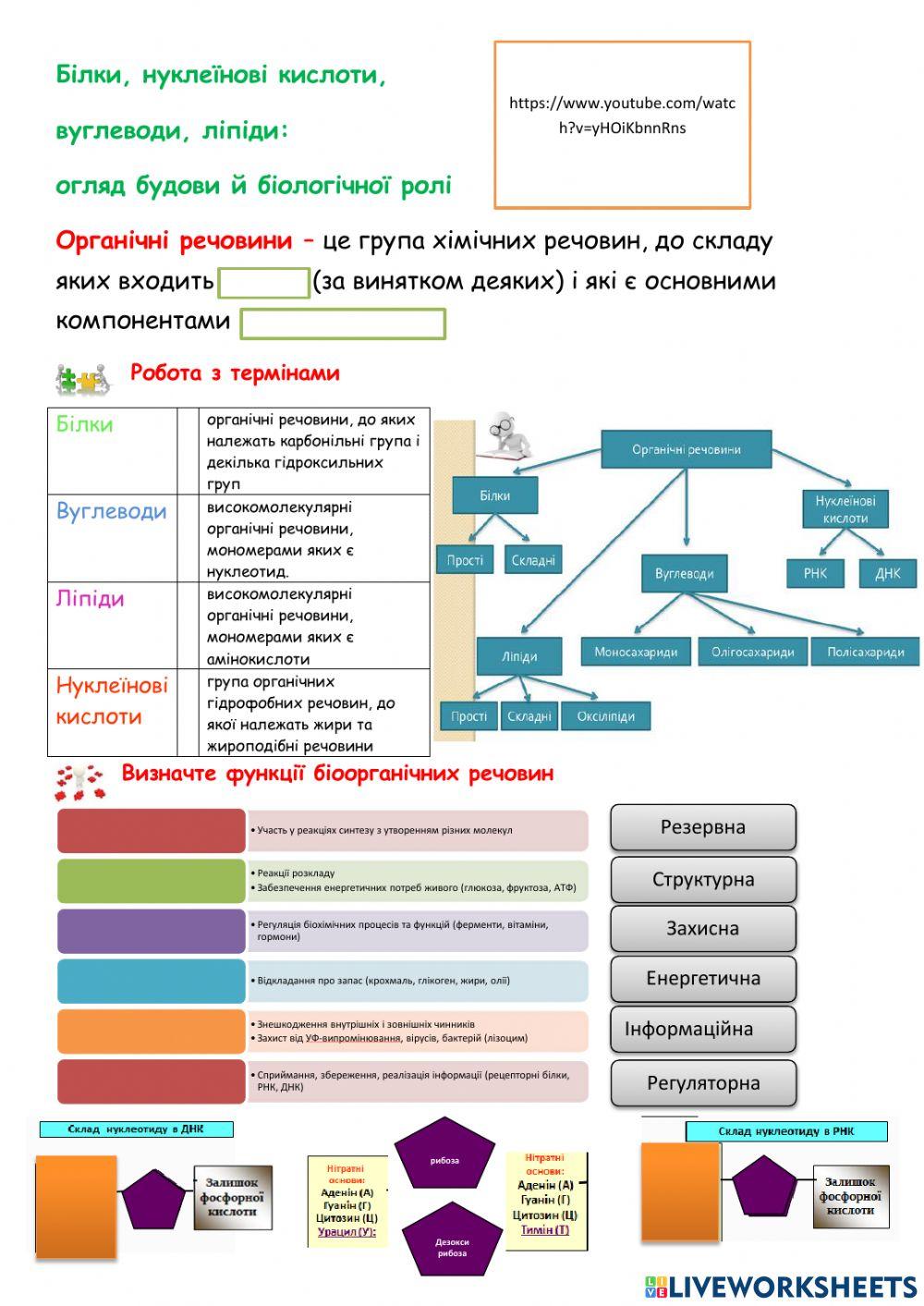 Макромолекули