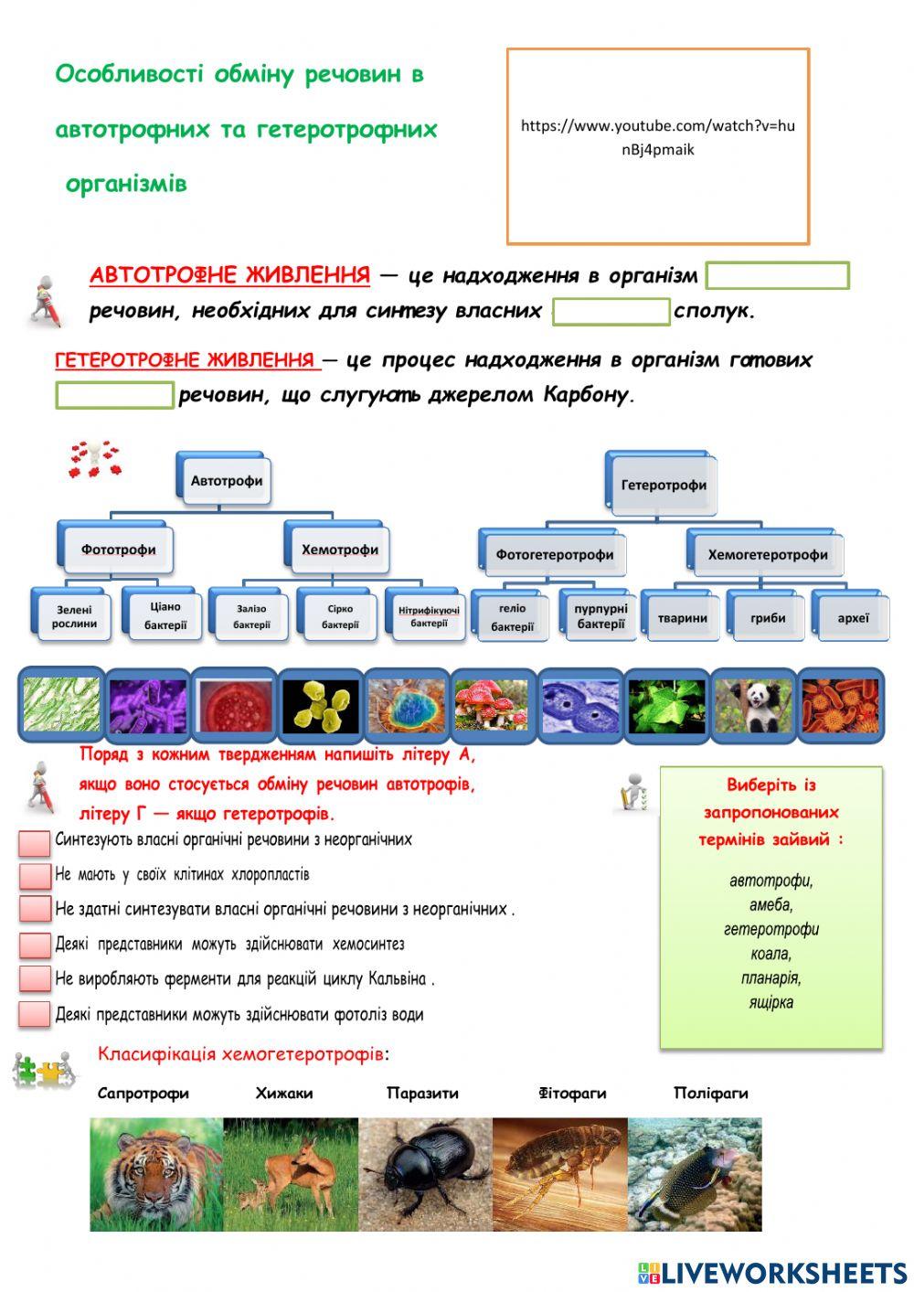 Особливості обміну речовин в  автотрофних та гетеротрофних  організмів