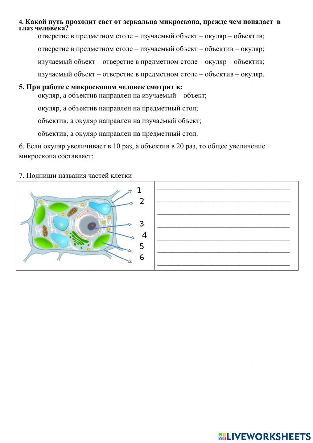 Строение клетки. Микроскоп. Свойства живого