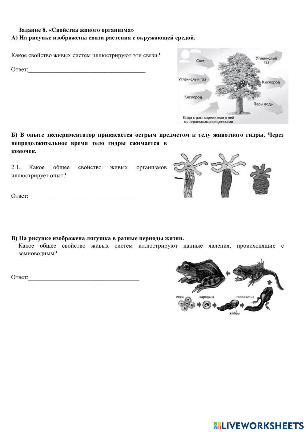 Строение клетки. Микроскоп. Свойства живого