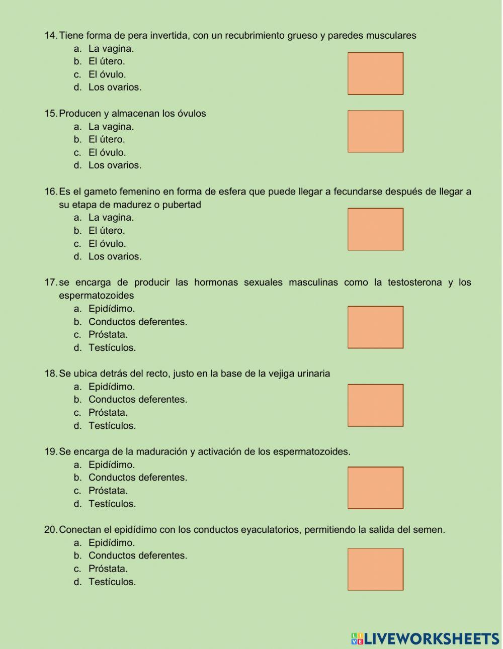 EXAMEN FINAL ANATOMÍA