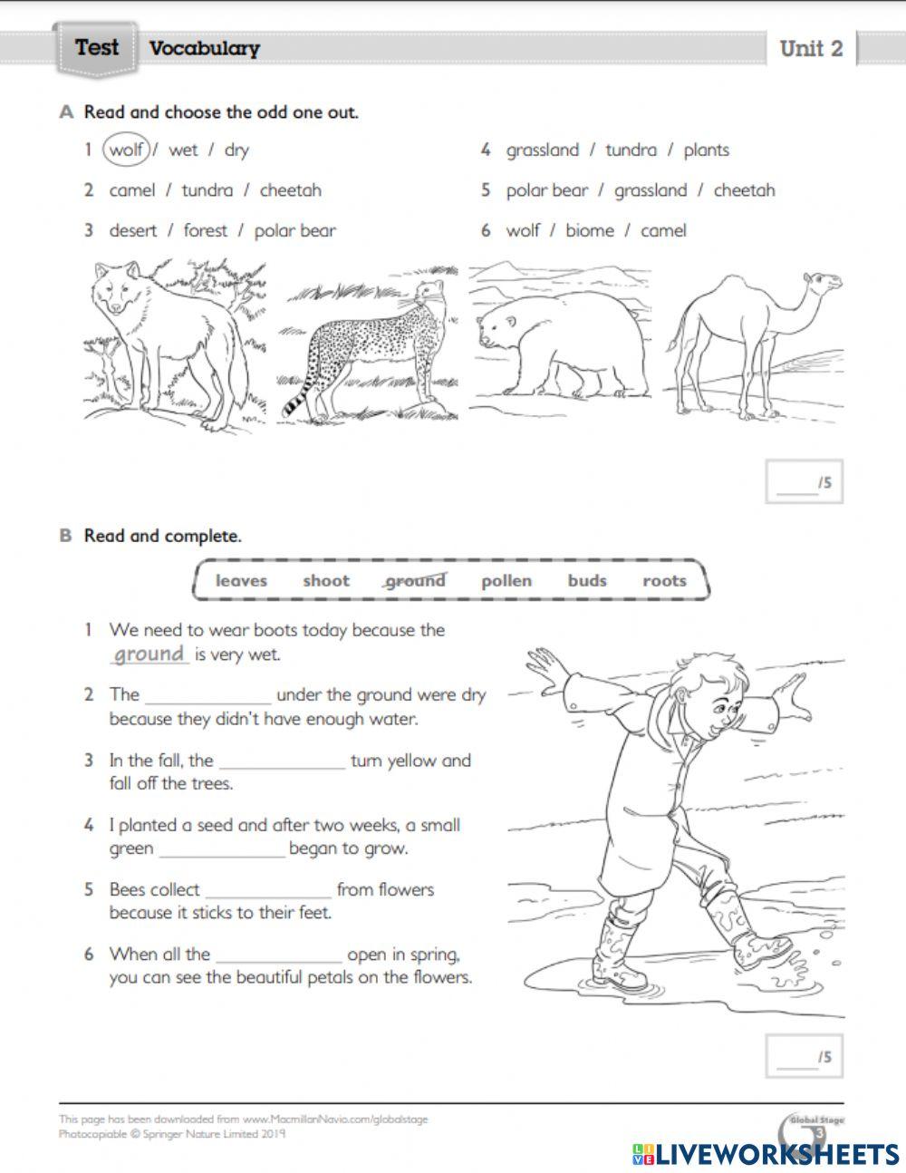 Gs unit 2 vocab 2526843 kkkl live worksheets