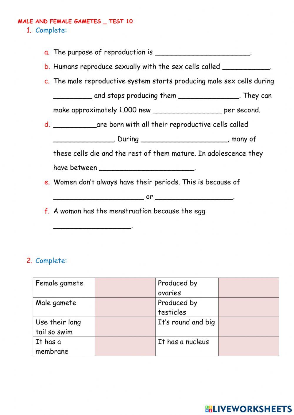 Male and female gametes