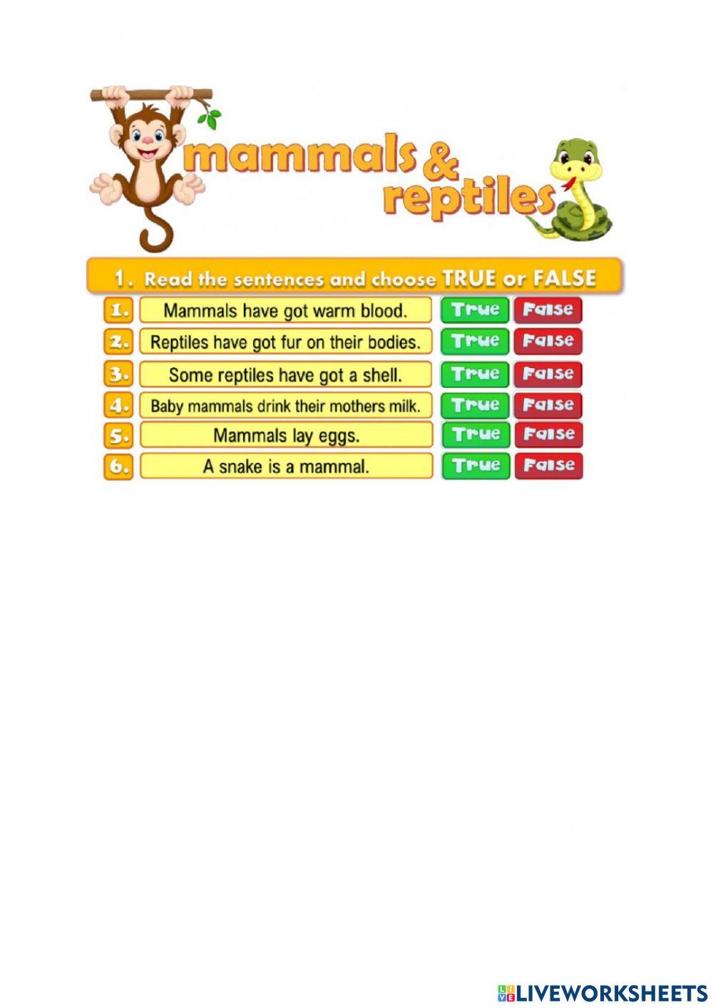 Mammals VS Reptiles worksheet | Live Worksheets