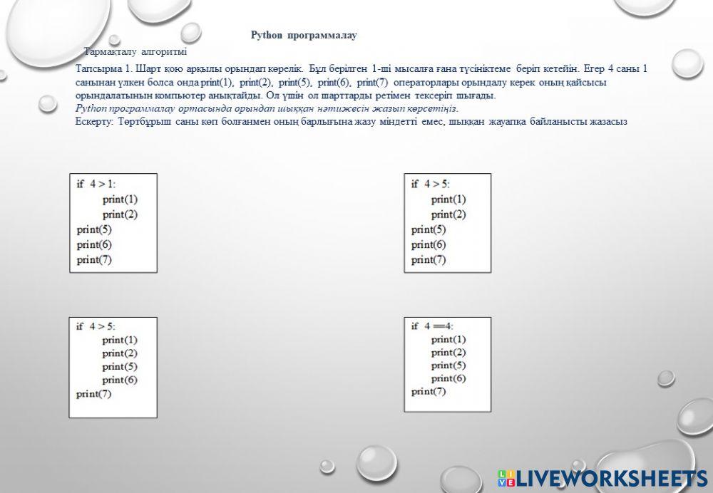 Python программалау worksheet | Live Worksheets