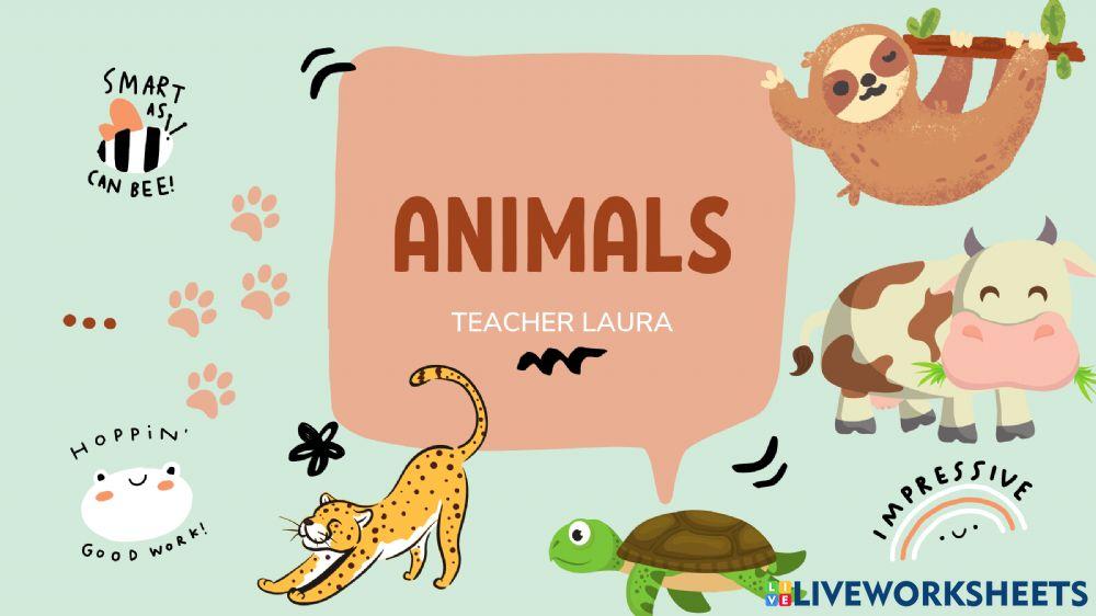 Animals vocabulary