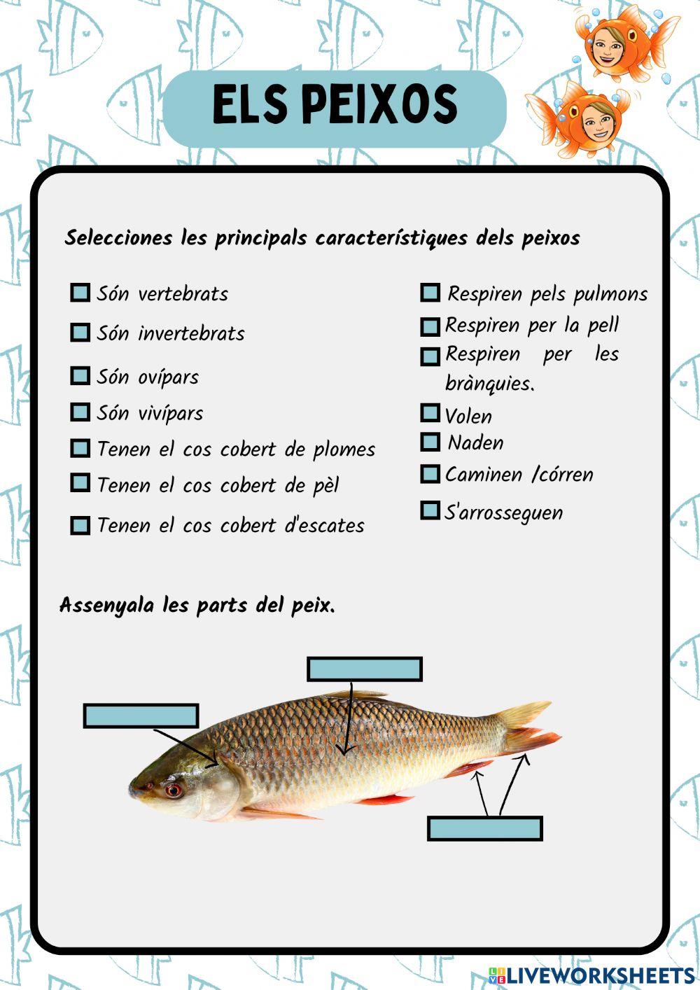 Els peixos