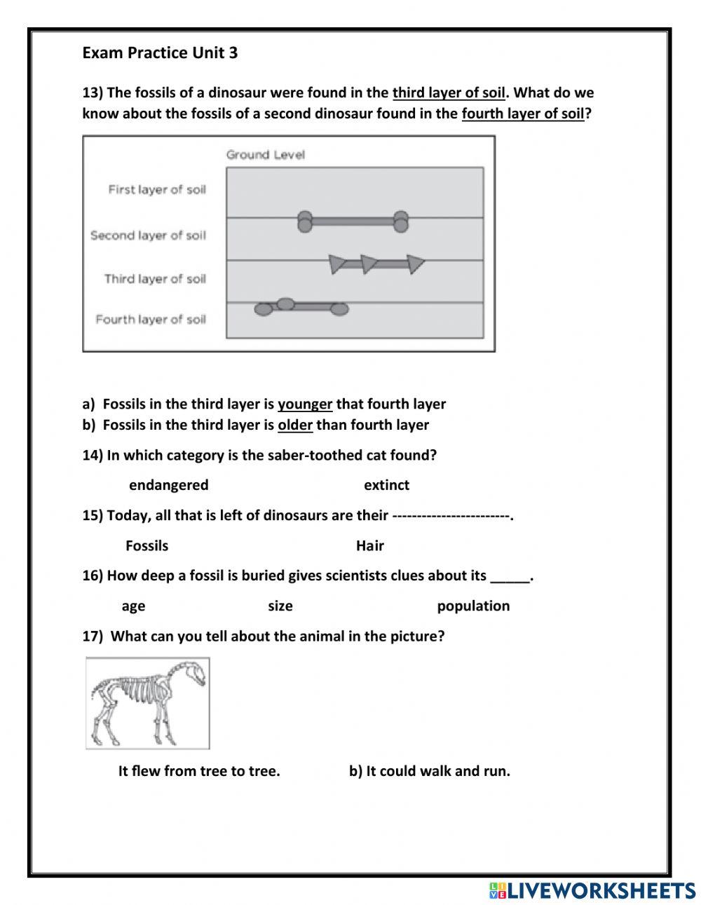 Lesson 1 and Lesson 2 Practice test