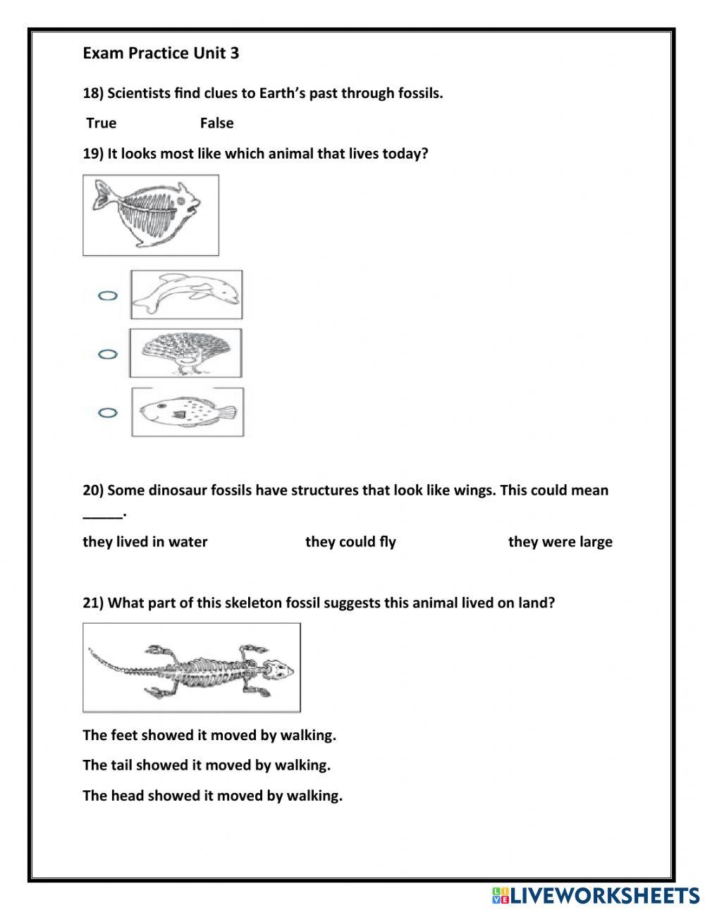 Lesson 1 and Lesson 2 Practice test