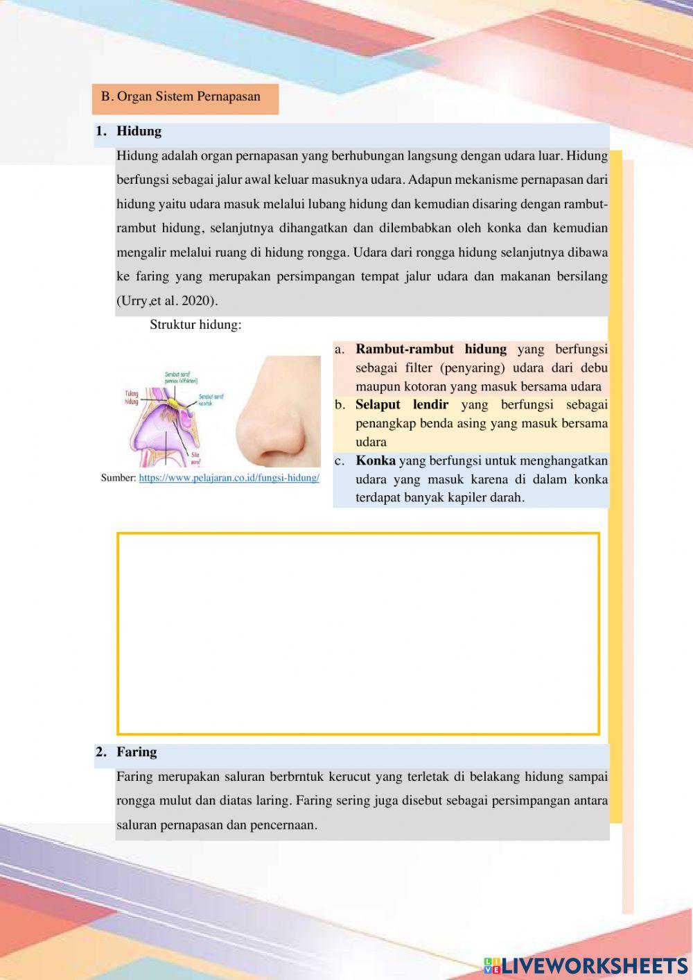 Materi 1 sistem pernapasan