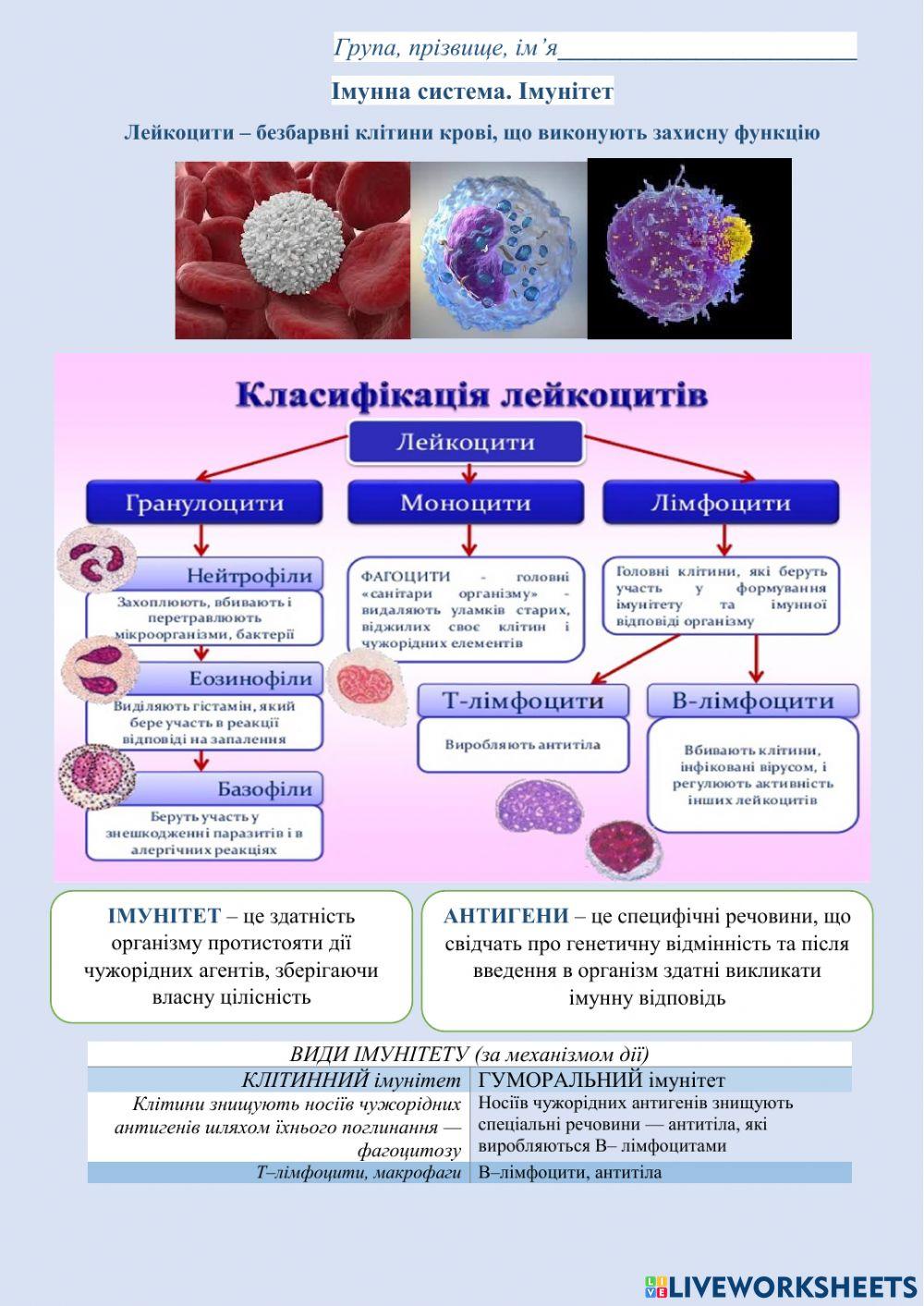 Лейкоцити. Імунітет