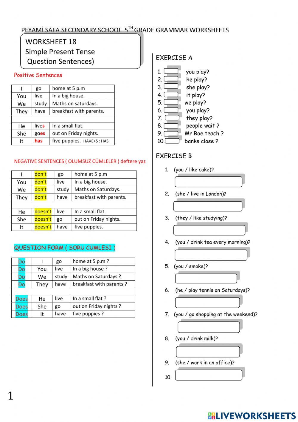 Present Simple Tense Questions