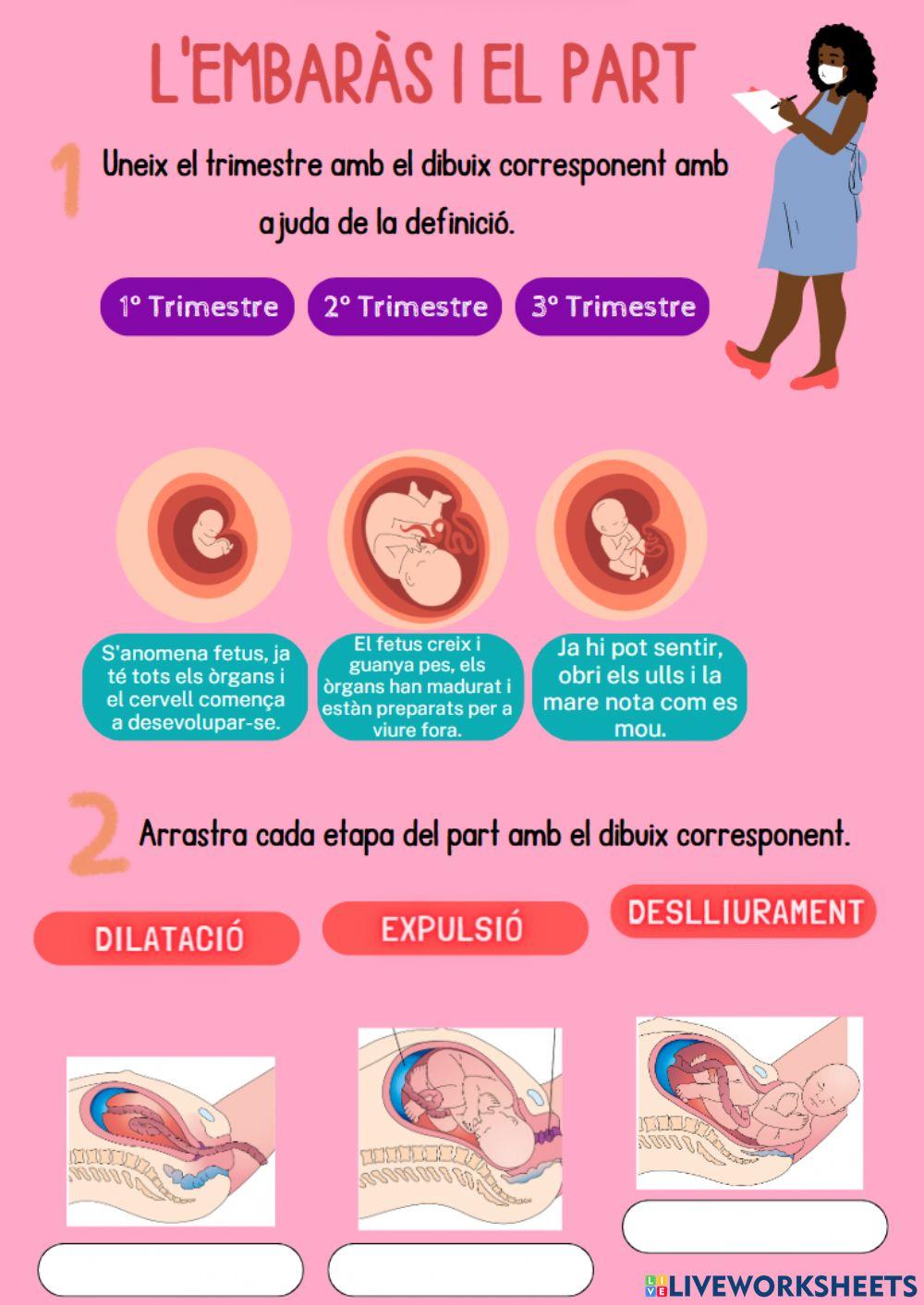L'embaràs i el part