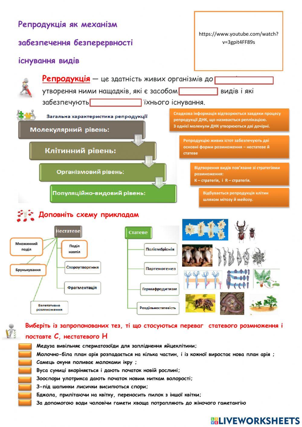 Репродукція як механізм  забезпечення безперервності  існування видів