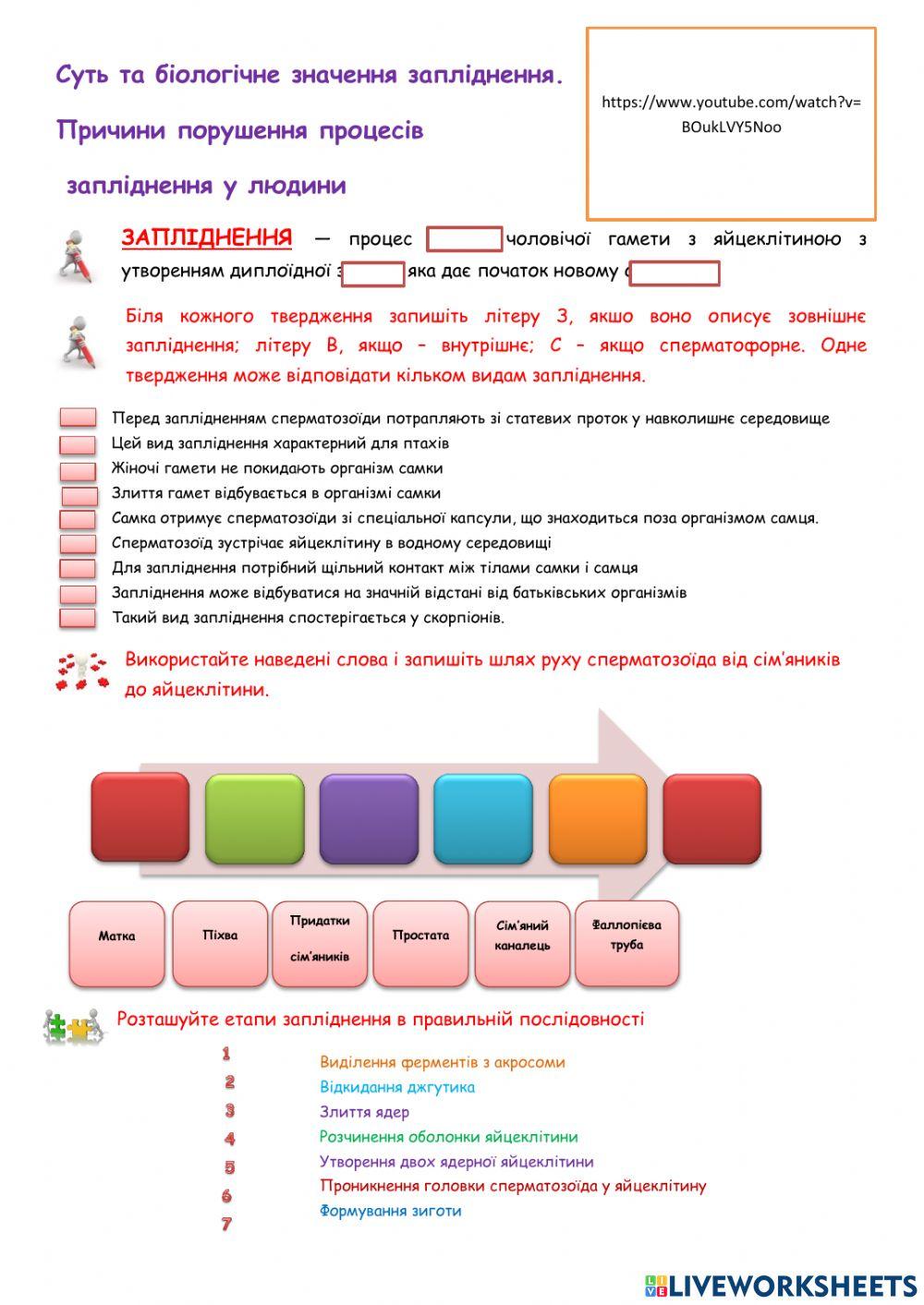 Запліднення