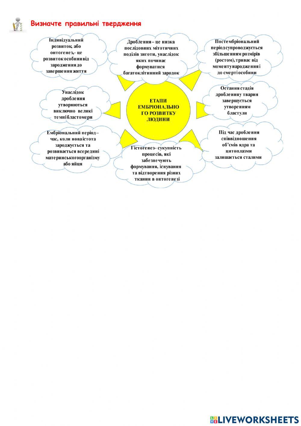 Ембріогенез людини.  Взаємодія частин зародка, що розвивається