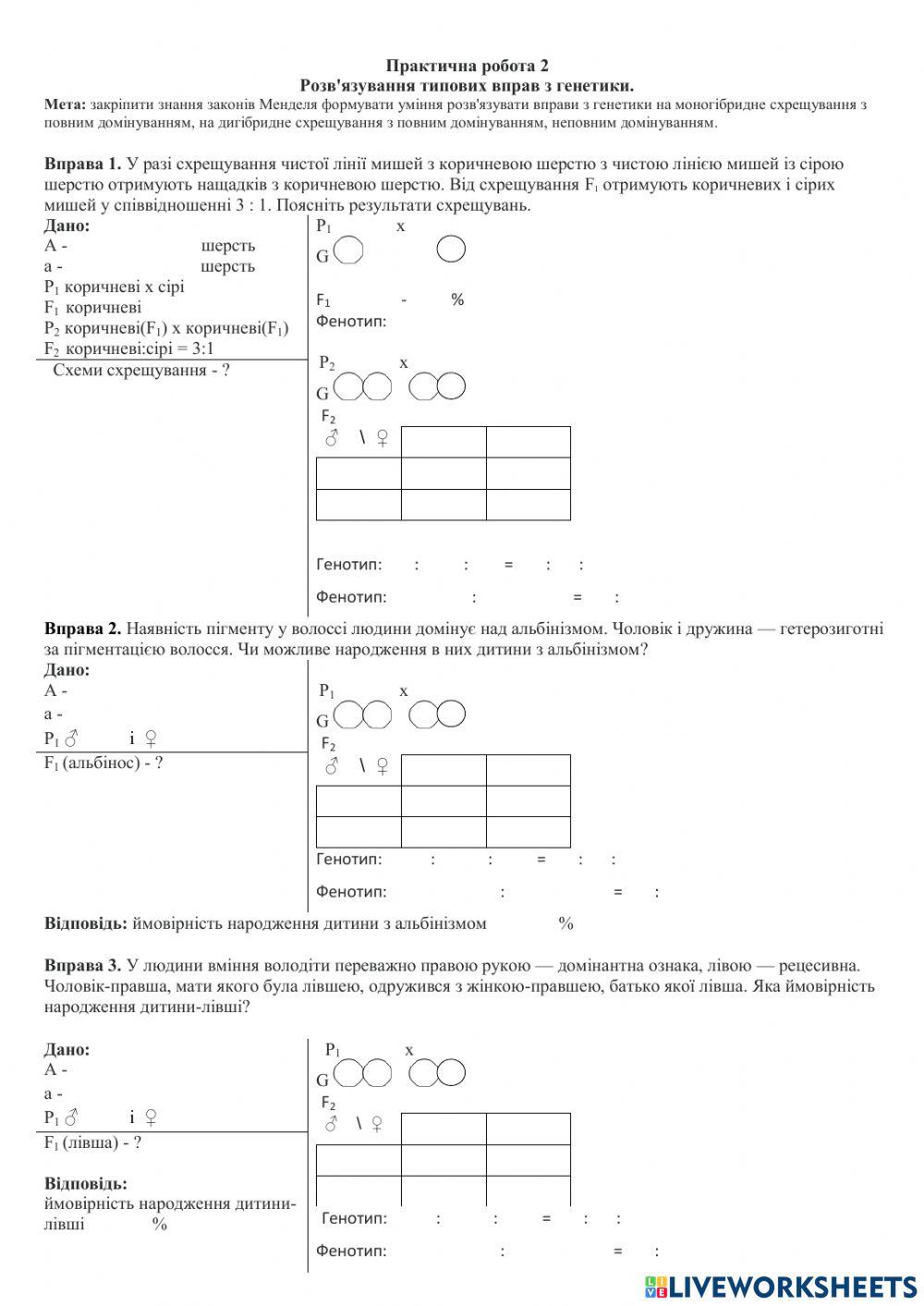 Практична робота 2