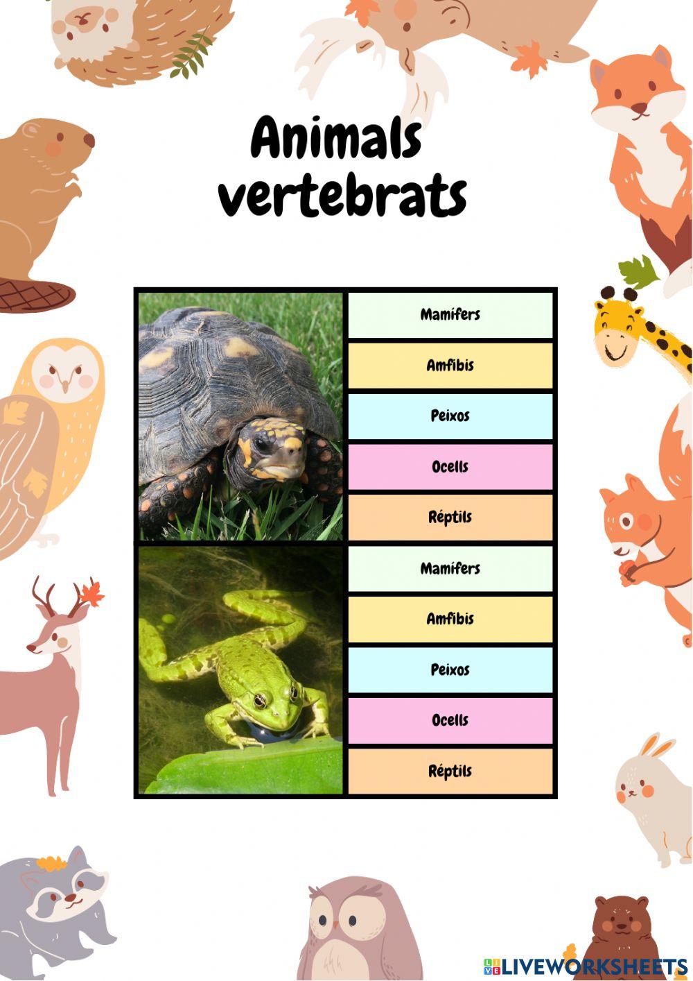 Animals vertebrats