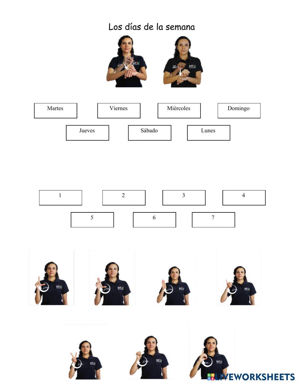 Días de la semana