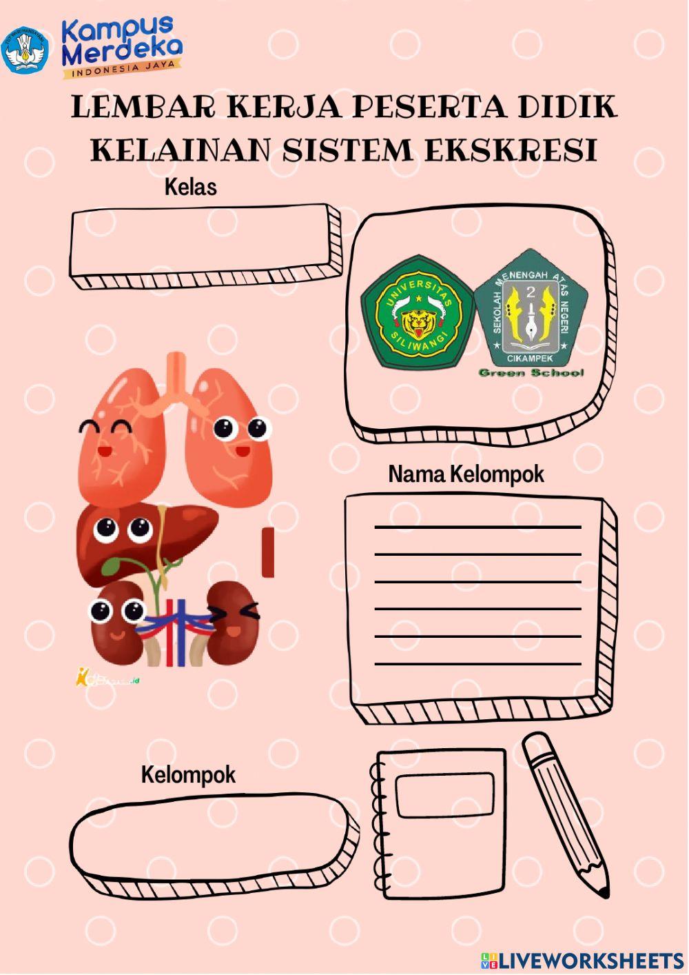 Kelainan Sistem Ekskresi pada Manusia