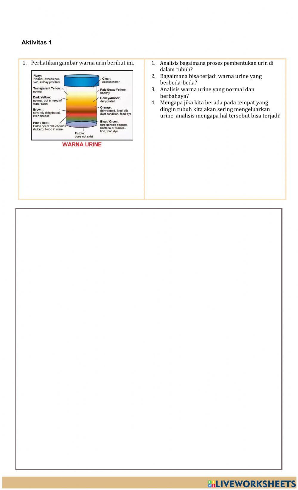 Lkpd sistem eksrekesi aktivitas 1