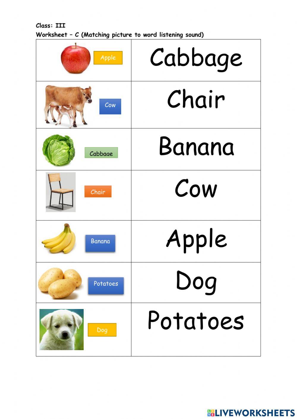 Picture to word match