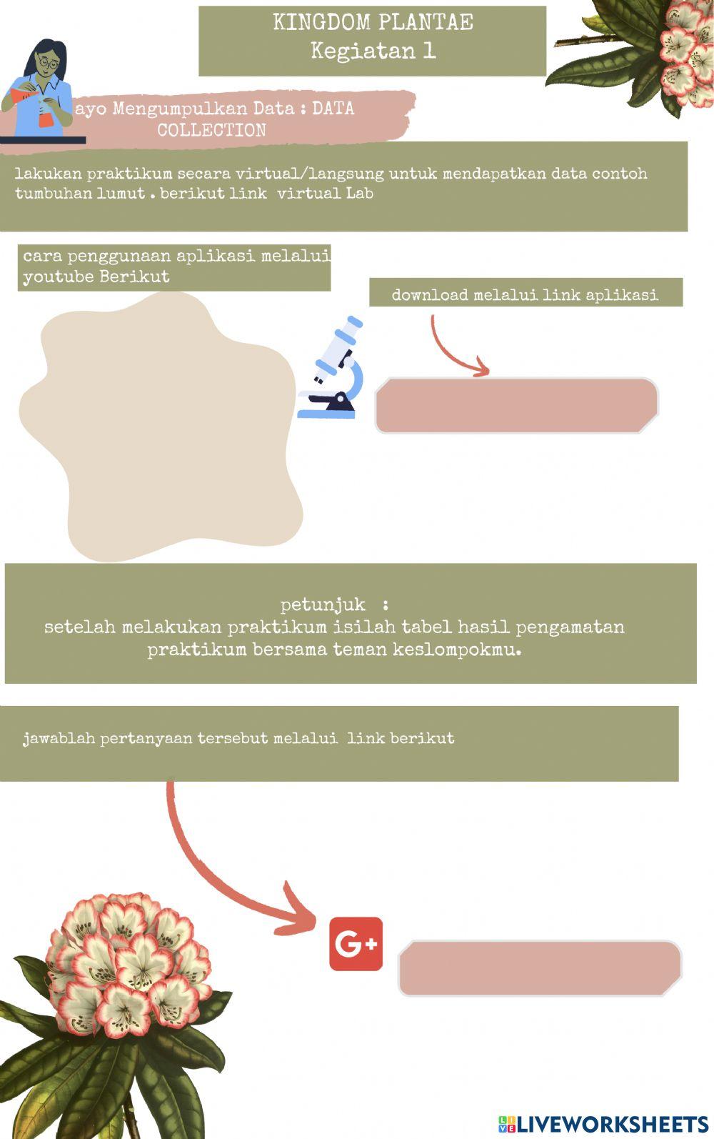 LKPD Identifikasi lumut Bryophyta