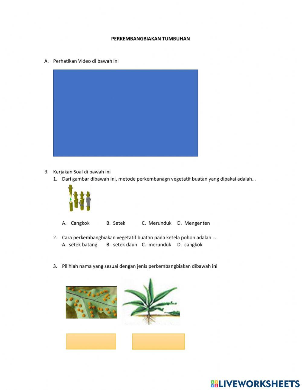 Perkembangbiakan tumbuhan