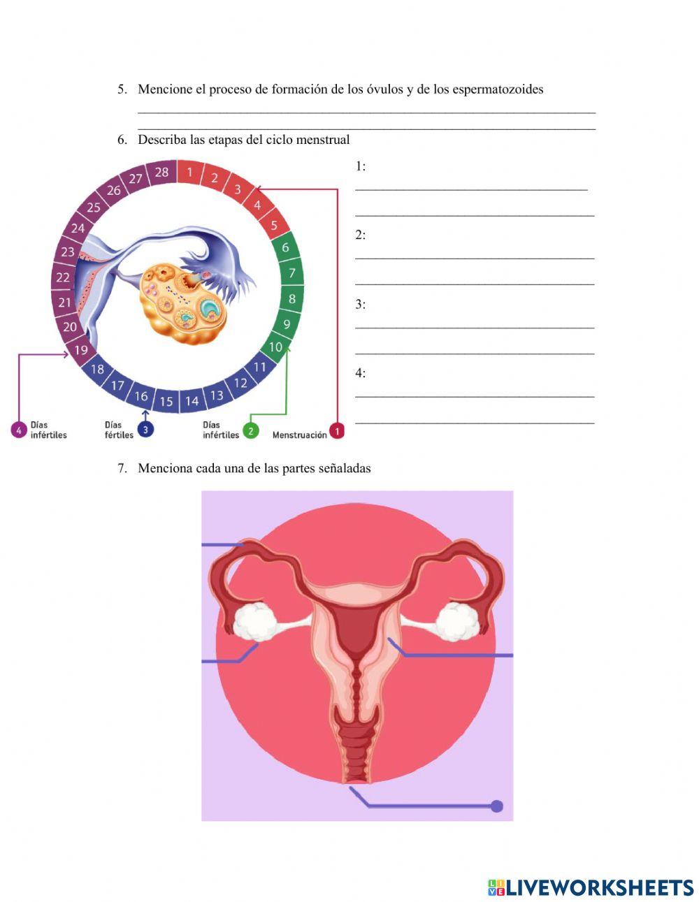 Herencia y Reproducción