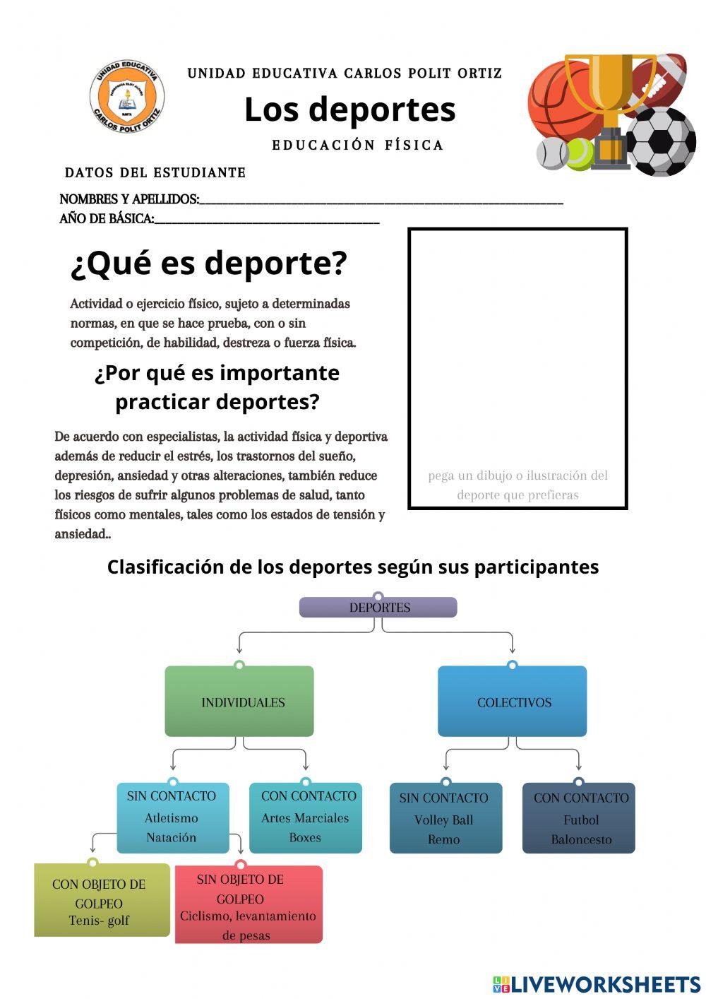 Los deportes y su importancia