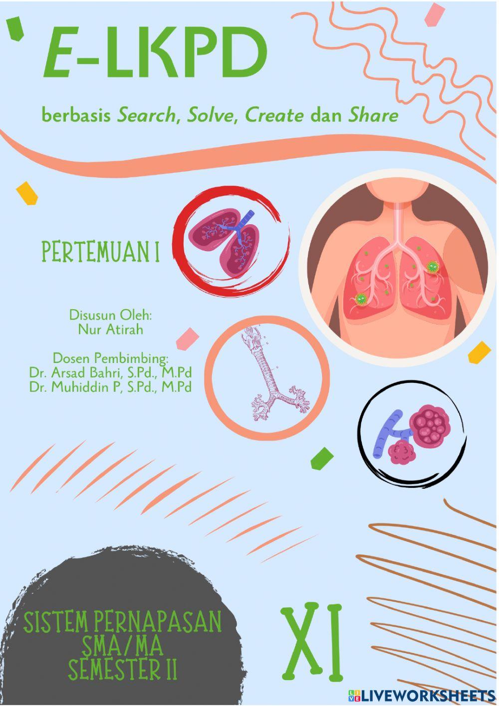 PERTEMUAN 1 Sistem pernapasan