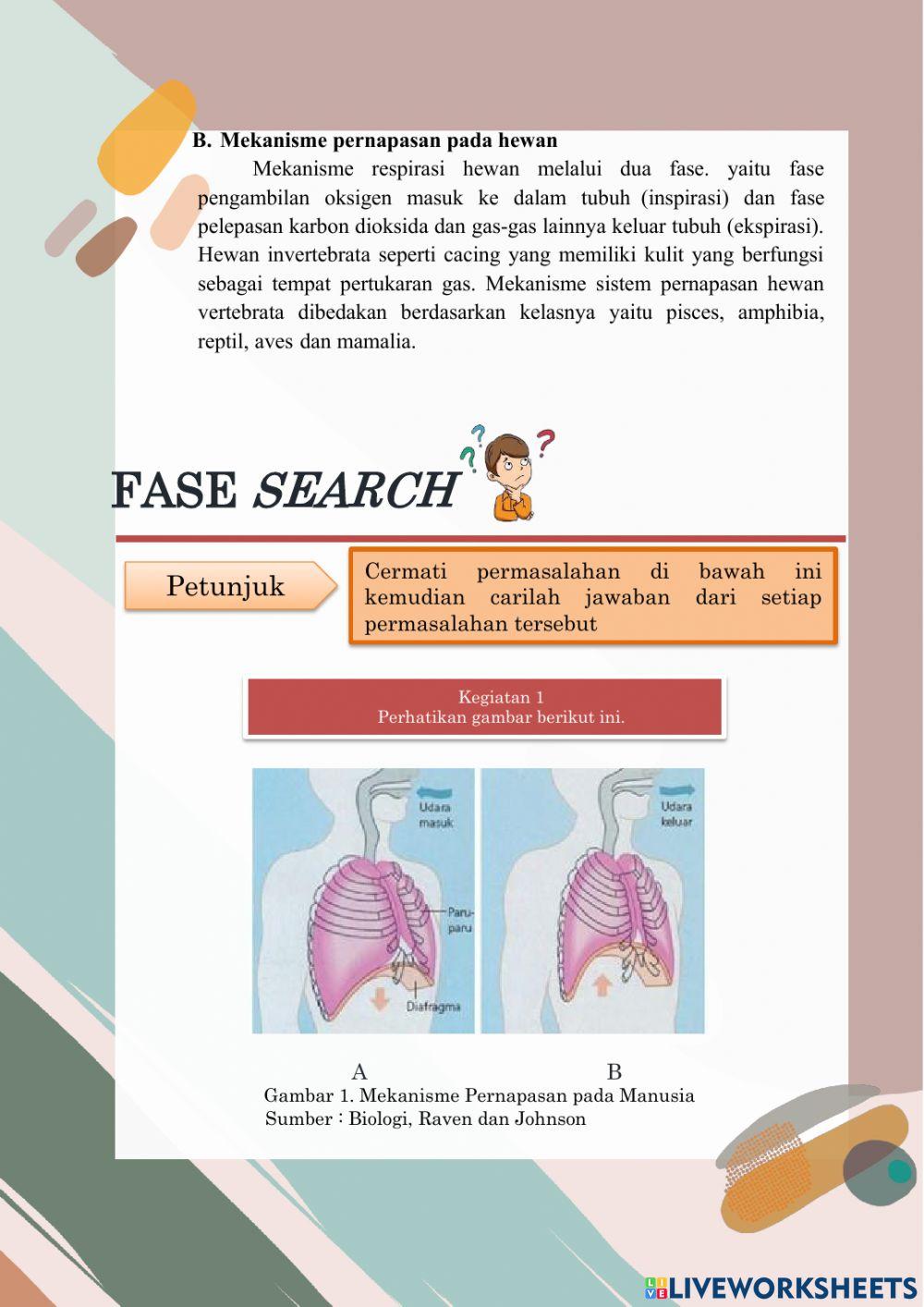 Pertemuan 2 sistem pernapasan