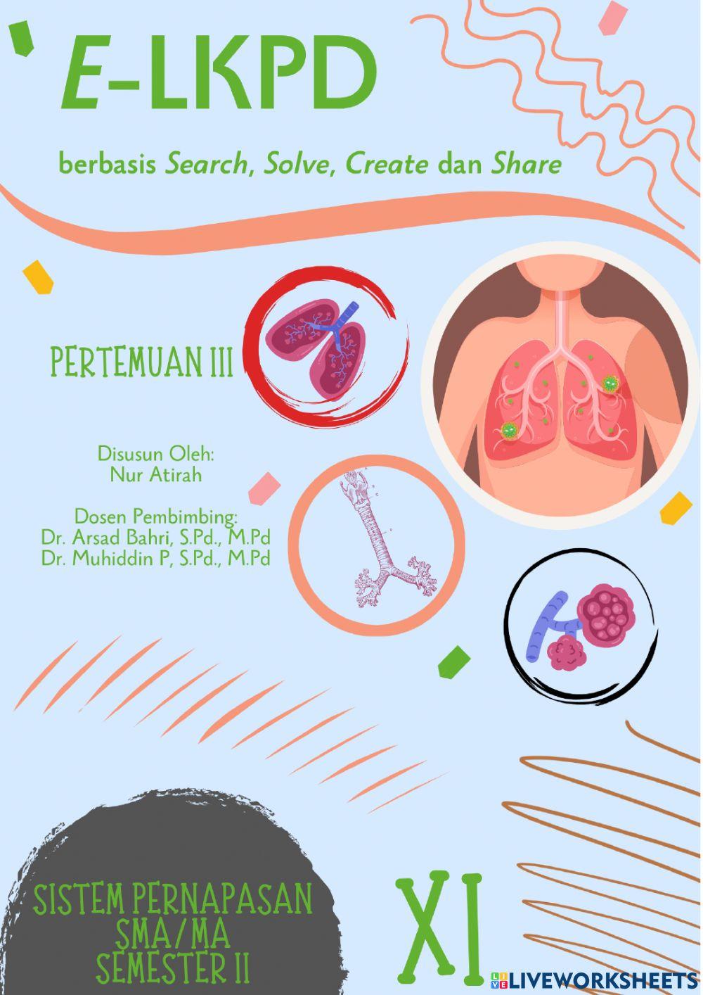 Pertemuan 3 sistem pernapasan