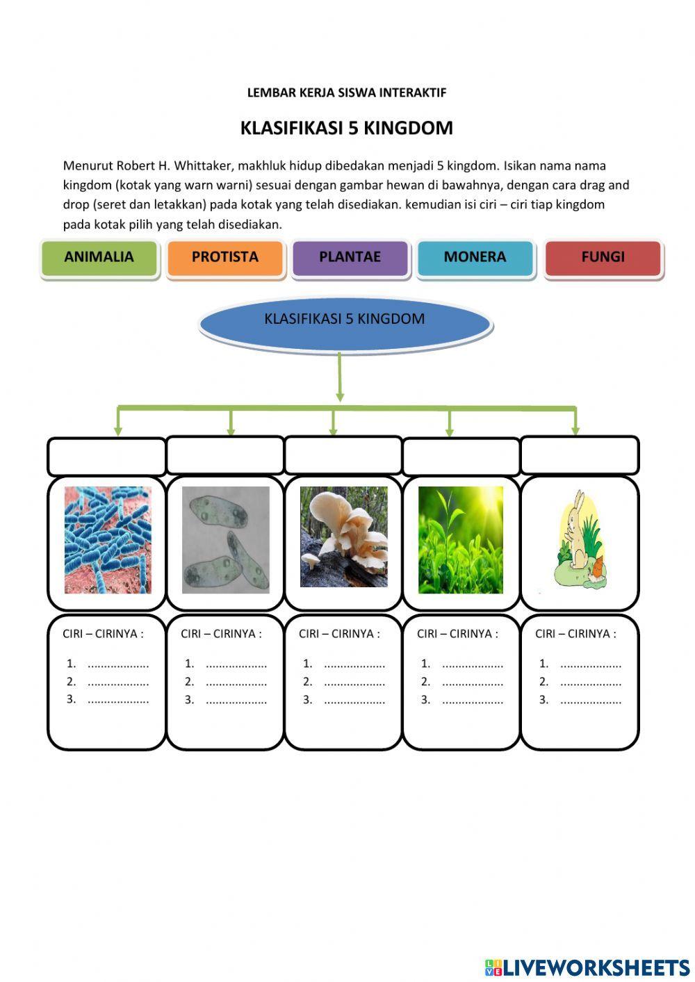 Klasifikasi 5 kingdom