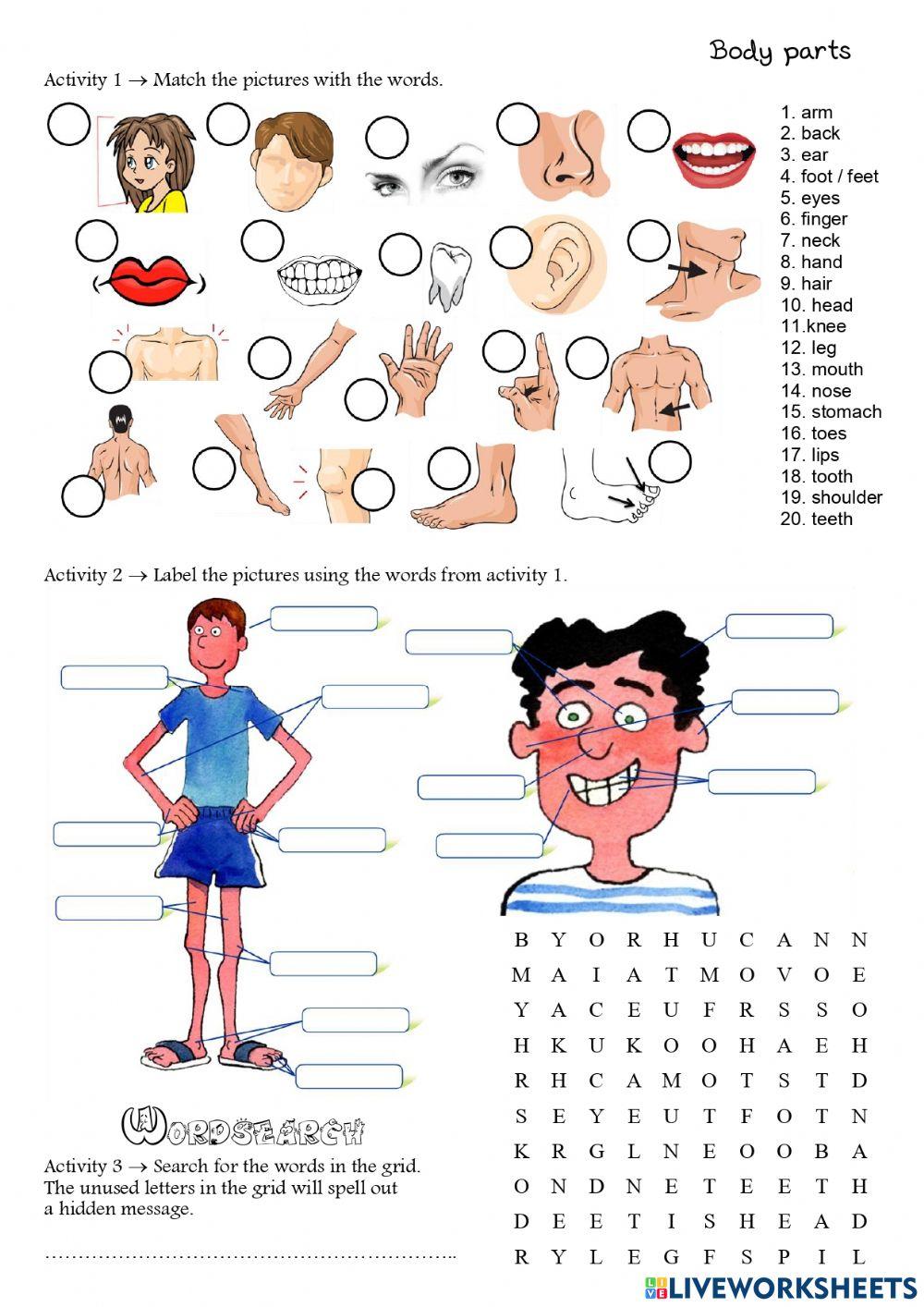 Body activities. Тема body Parts Worksheet. Упражнения по английскому по теме части тела. Body Parts for Kids задания. Bodyparts упражнения.